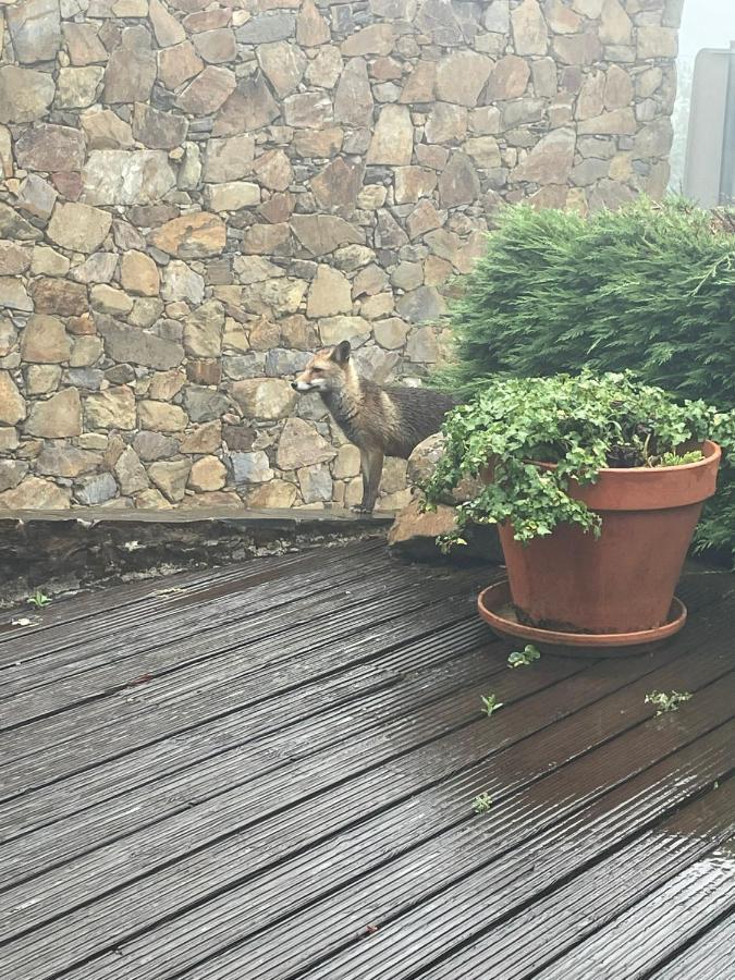 Patio Do Xisto Farm stay Gondramaz
